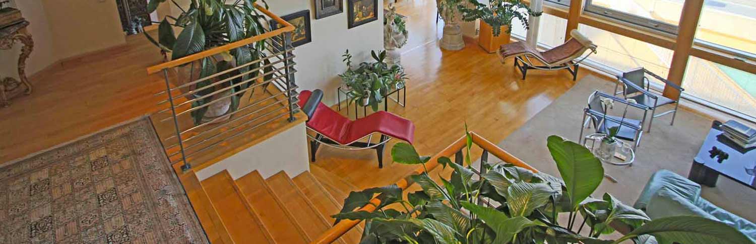 immobilier luxueux